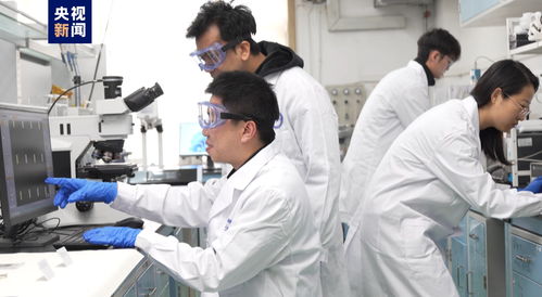 我國科研人員實現(xiàn)二維金屬碲化物材料宏量制備，助力材料科學(xué)規(guī)模化應(yīng)用