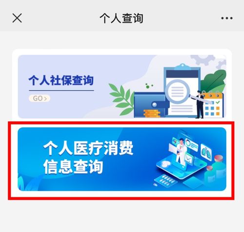 如何高效查詢個人醫(yī)療消費(fèi)信息 信息咨詢服務(wù)的全面指南